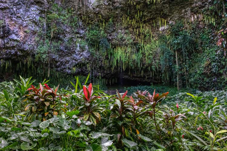 Fern Grotto