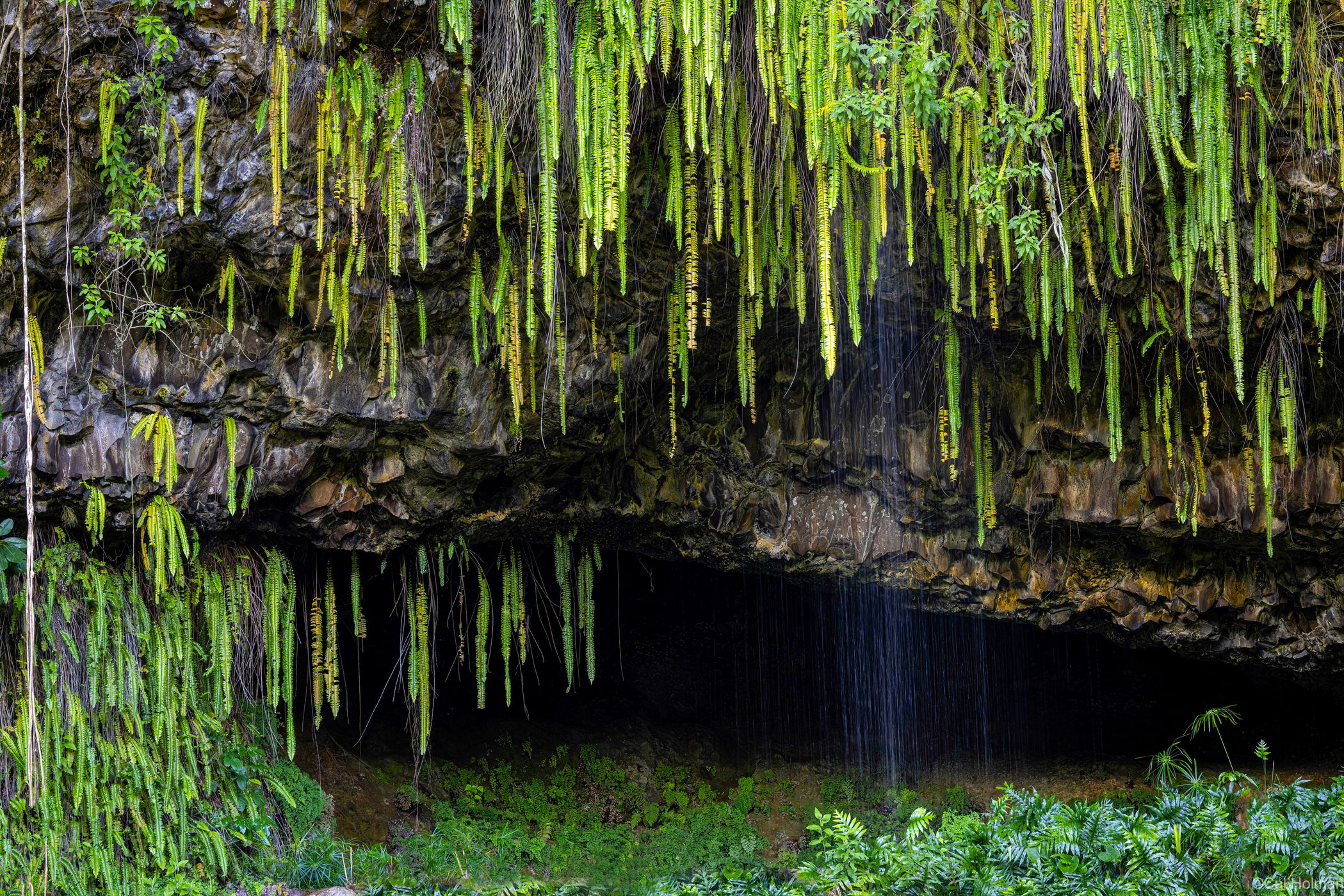 Fern Grotto, USA