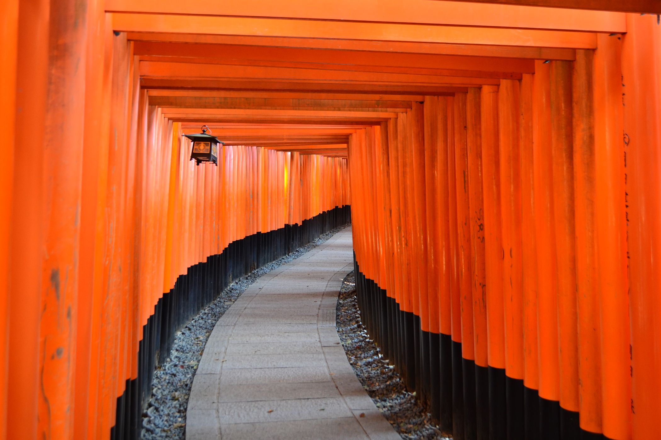 Fushimi Inari - Taisha, Japan