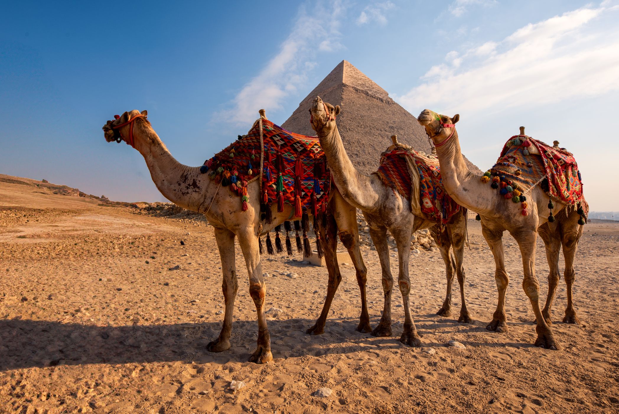 Giza Pyramids, Egypt