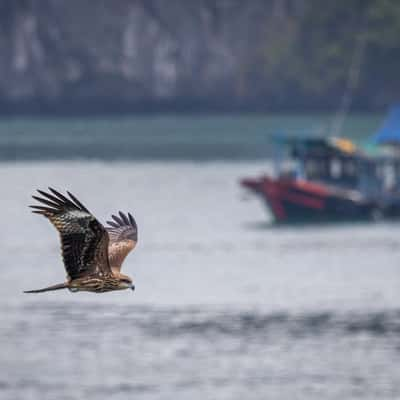 Ha Long Bay, Vietnam