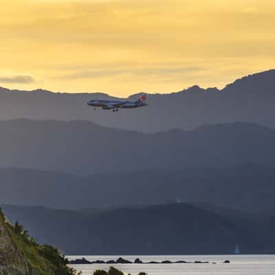 Houghton Bay in Wellington, New Zealand