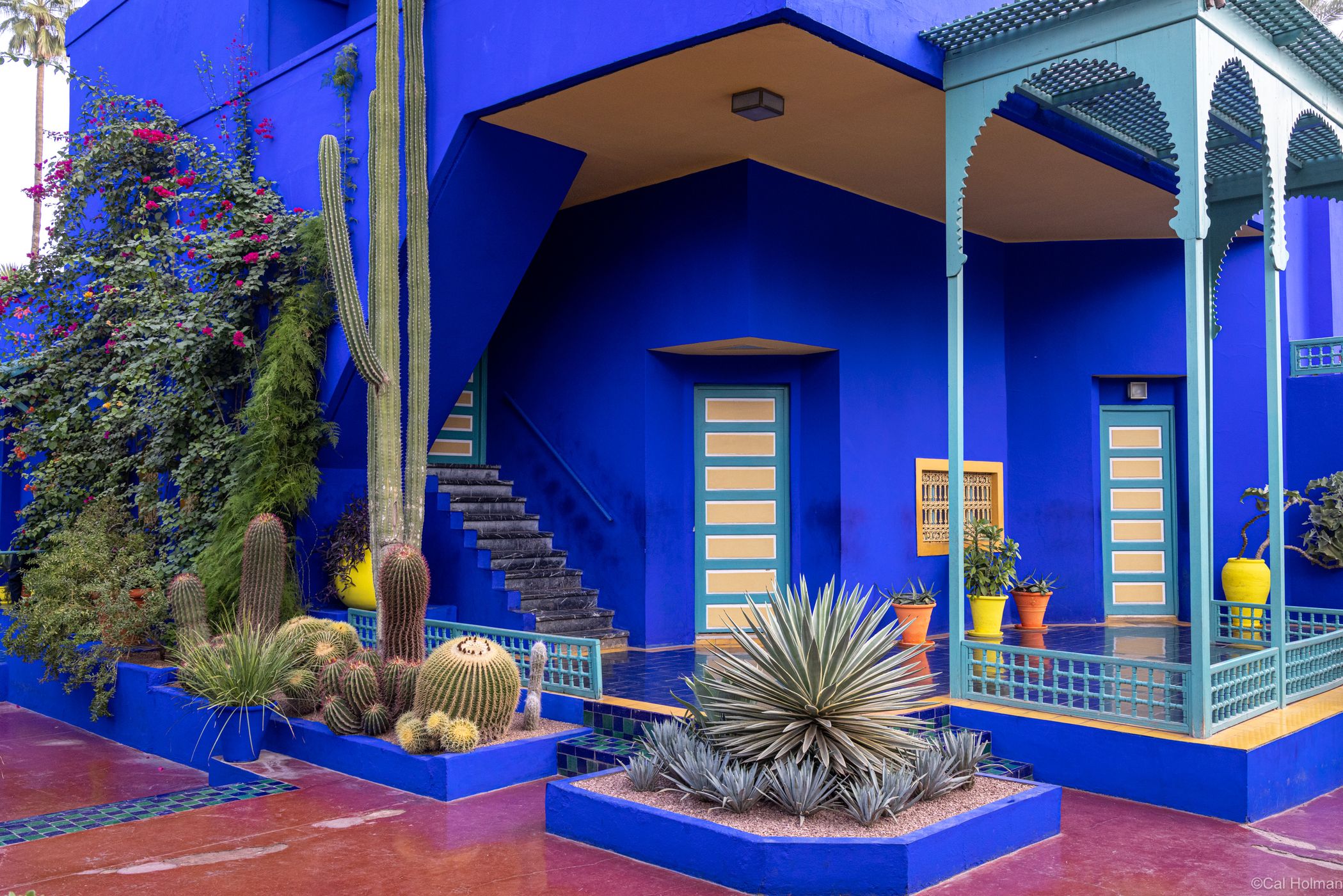 Jardin Majorelle, Marrakesh, Morocco