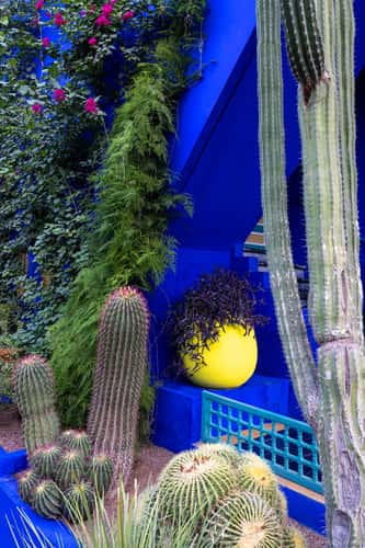 Jardin Majorelle, Marrakesh