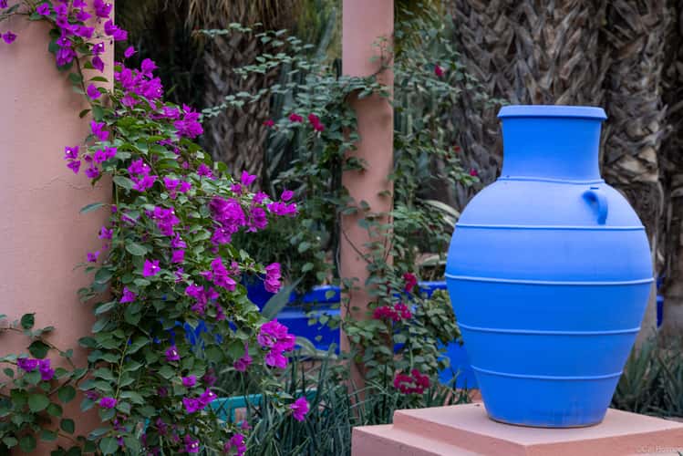 Jardin Majorelle, Marrakesh