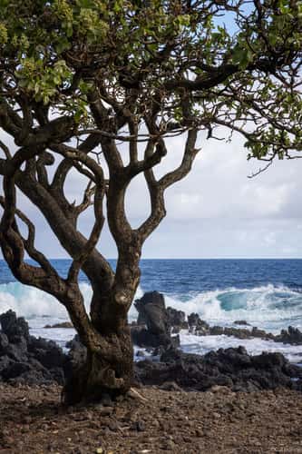 Keanae Lookout