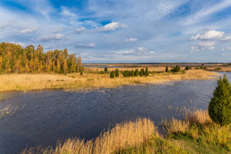 Kemeri National Park in Latvia