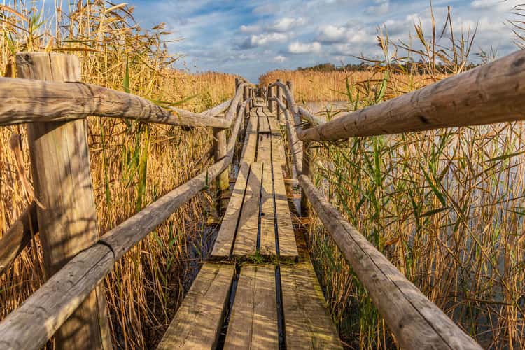 Kemeri National Park in Latvia