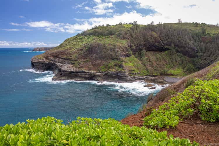 Kilauea Point National Wildlife Refuge