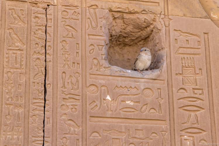 Kom Ombo Temple
