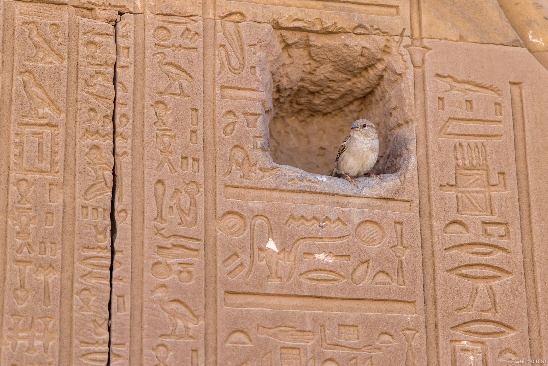 Kom Ombo Temple, Egypt