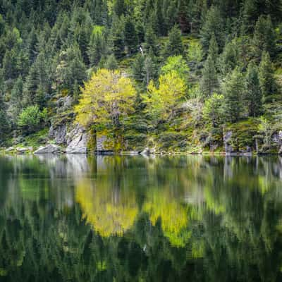 Lac de font Vives (Porté-Puymorens, France), France