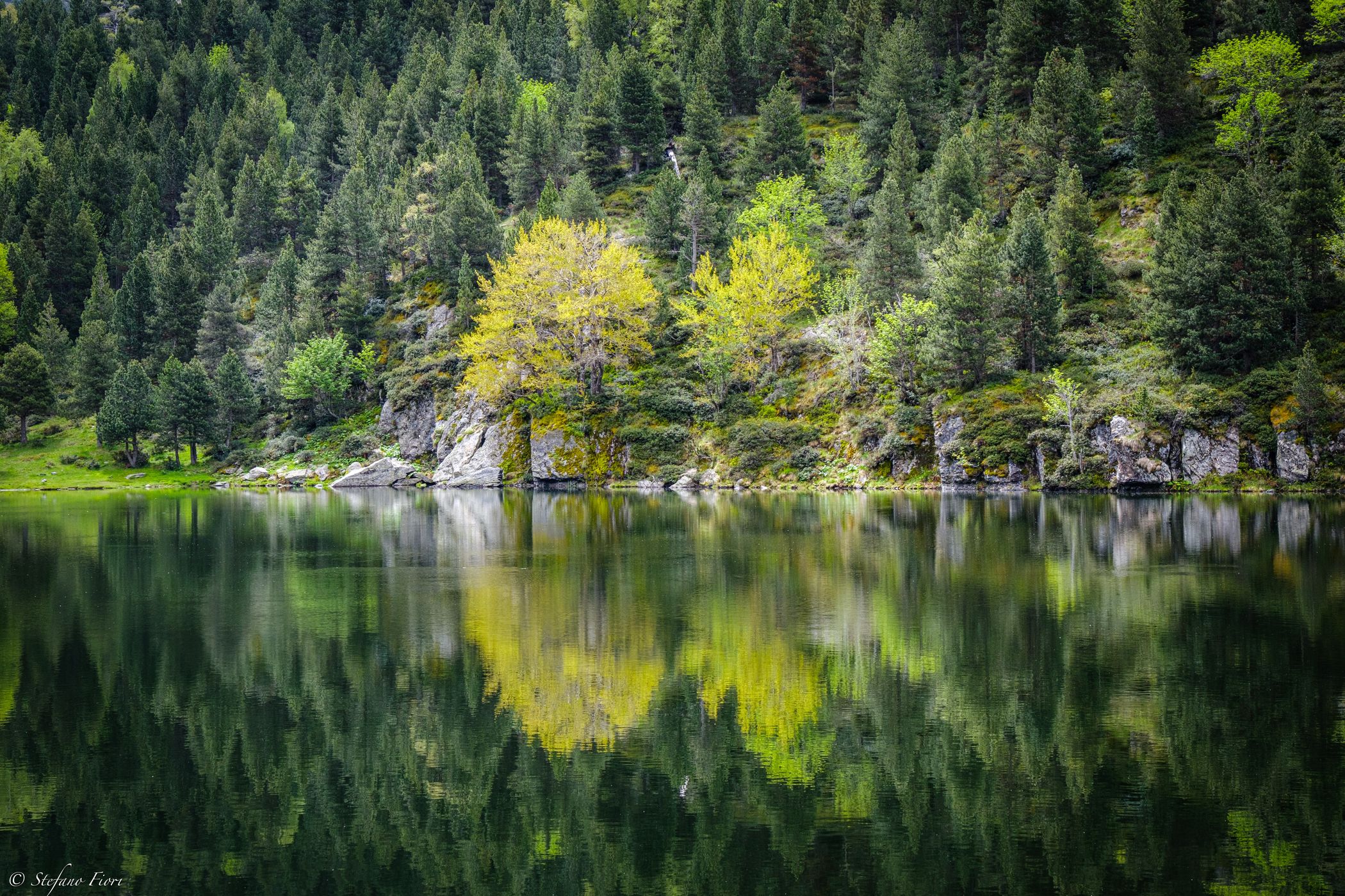 Lac de font Vives (Porté-Puymorens, France), France