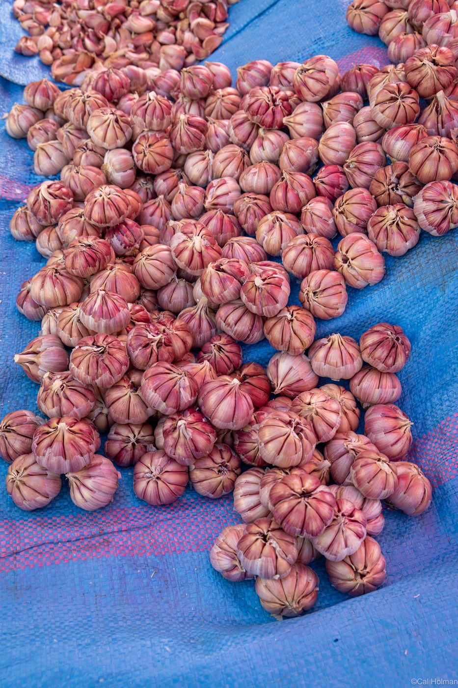 Lahdim Square, Morocco