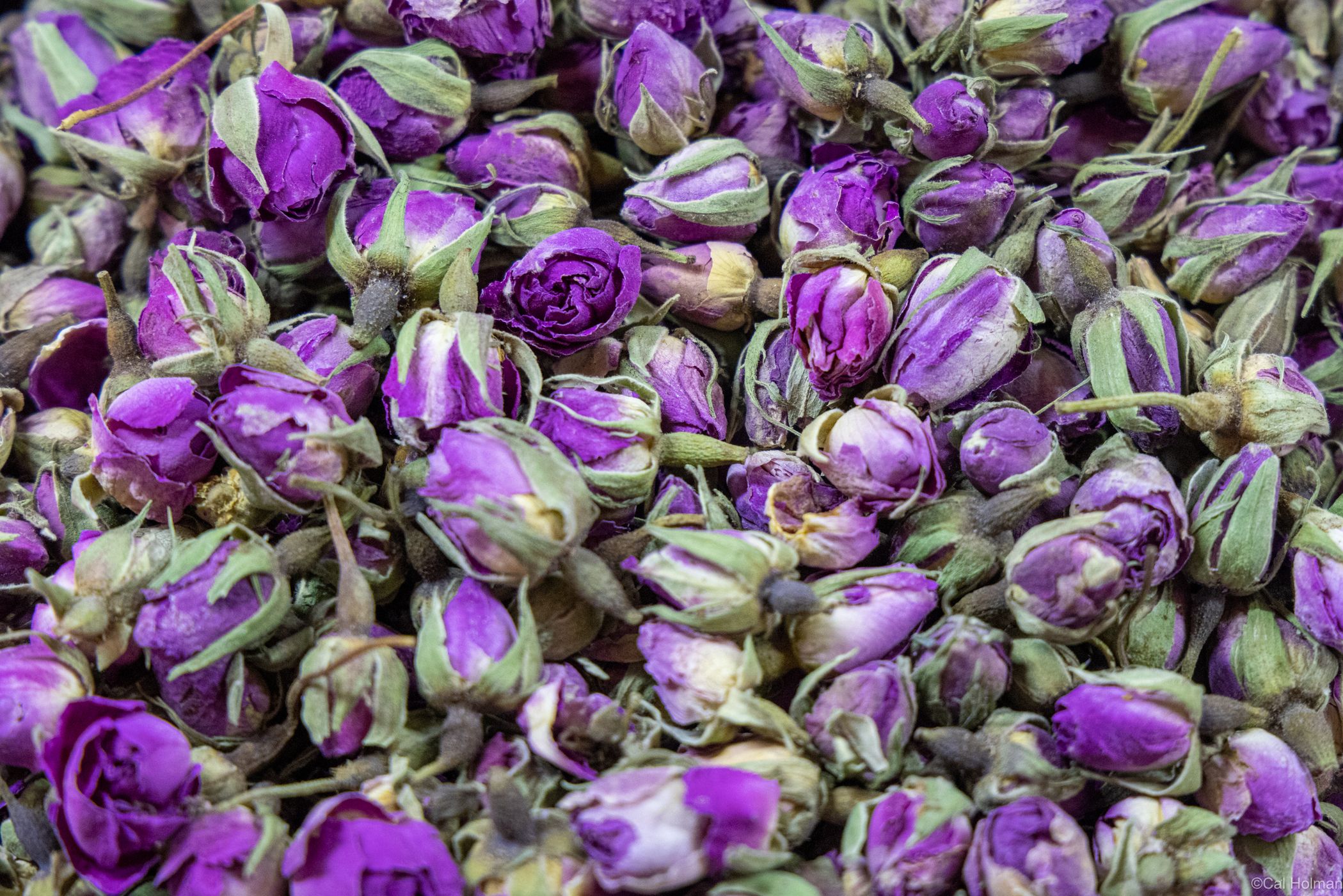 Lahdim Square, Morocco