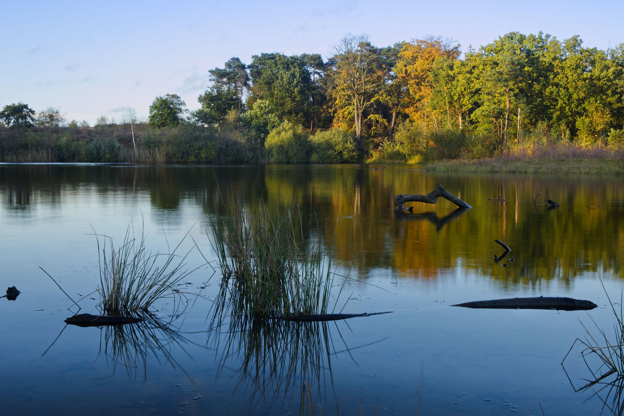 Leemput - Boswachterij Dorst, Netherlands