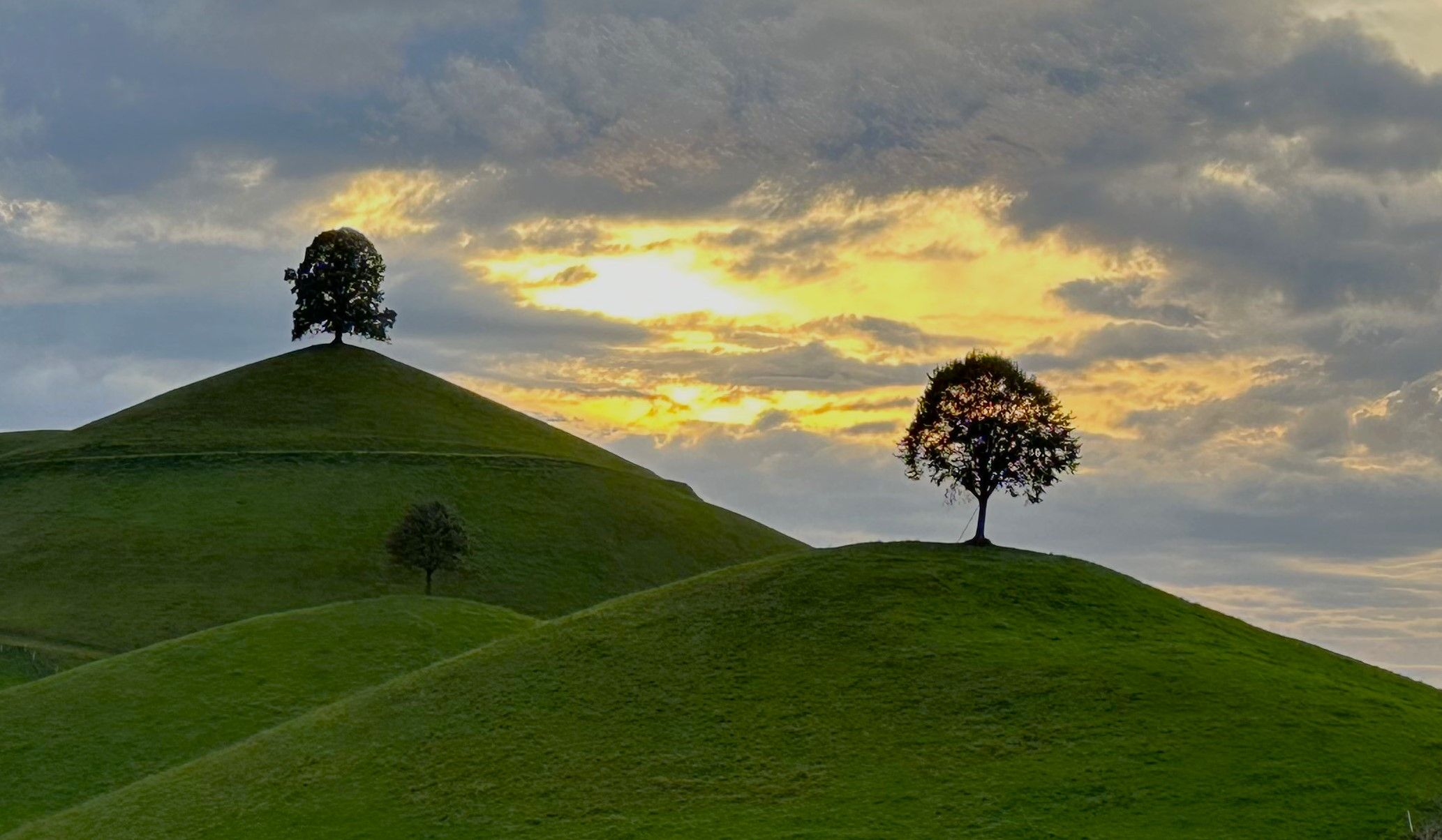 Fairy tale trees, Neuheim, Switzerland
