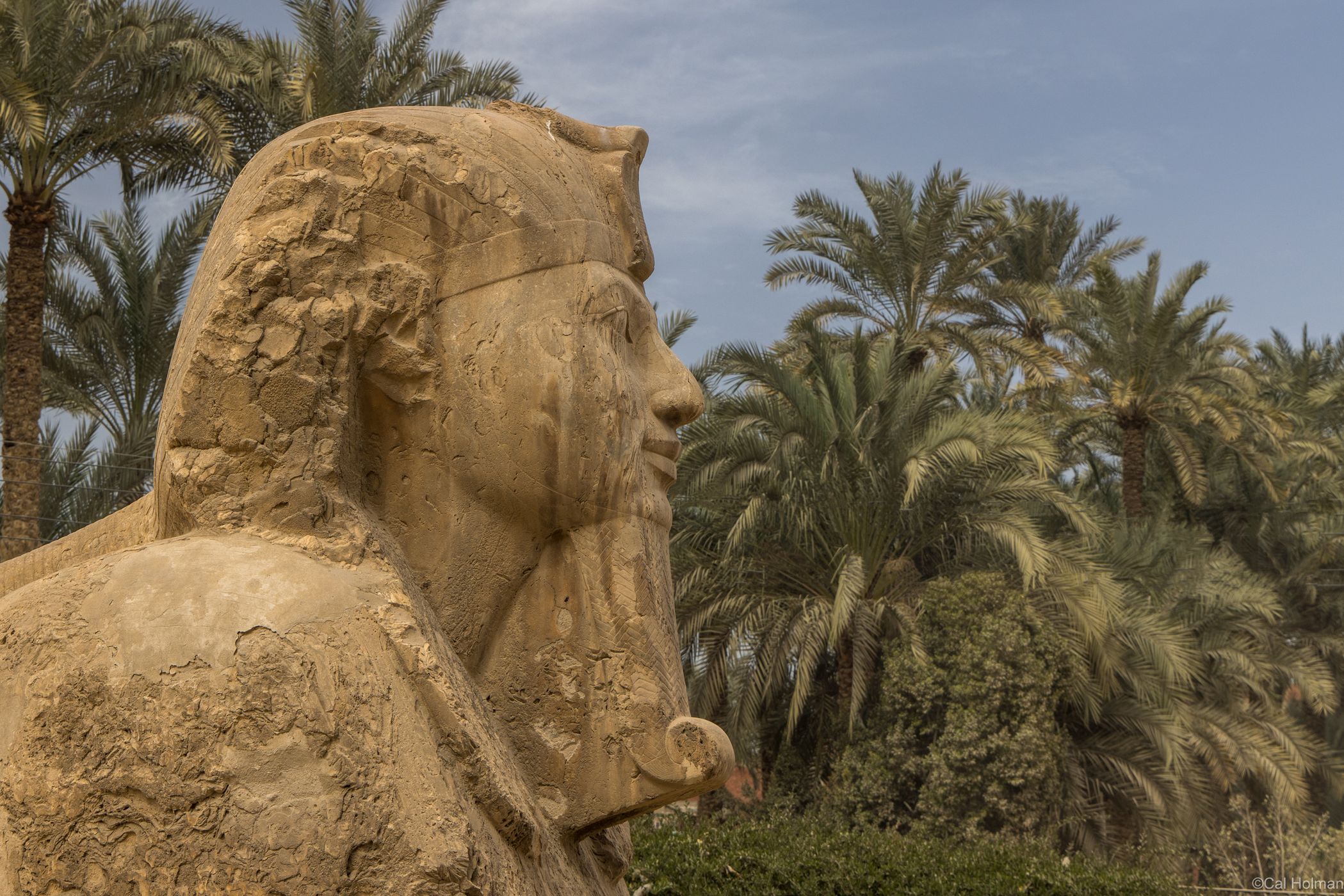 Mit Rahina Museum of Memphis, Egypt