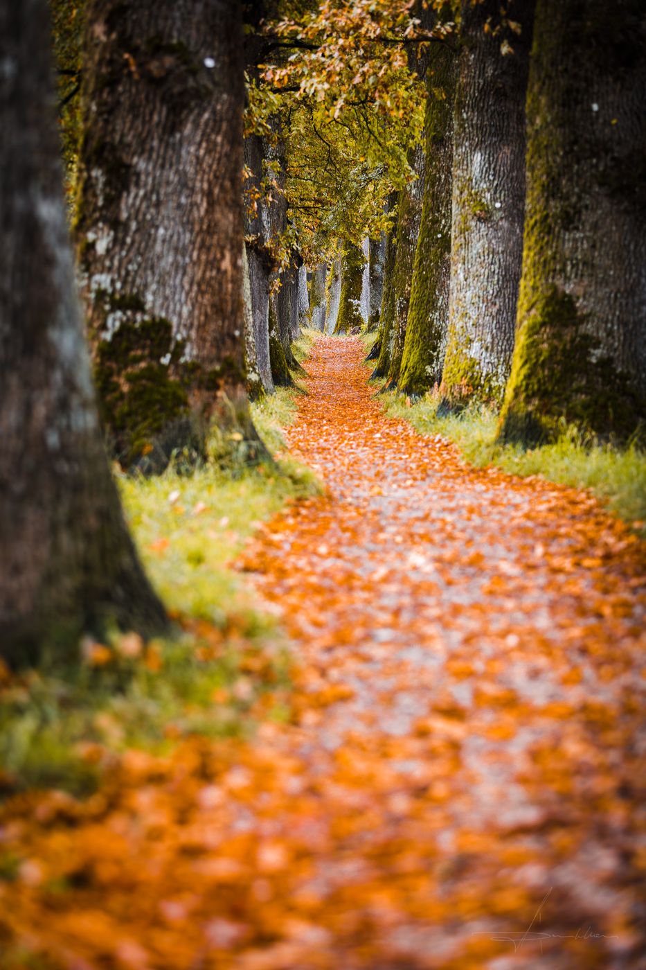 MURNAU - Kottmüllerallee, Germany