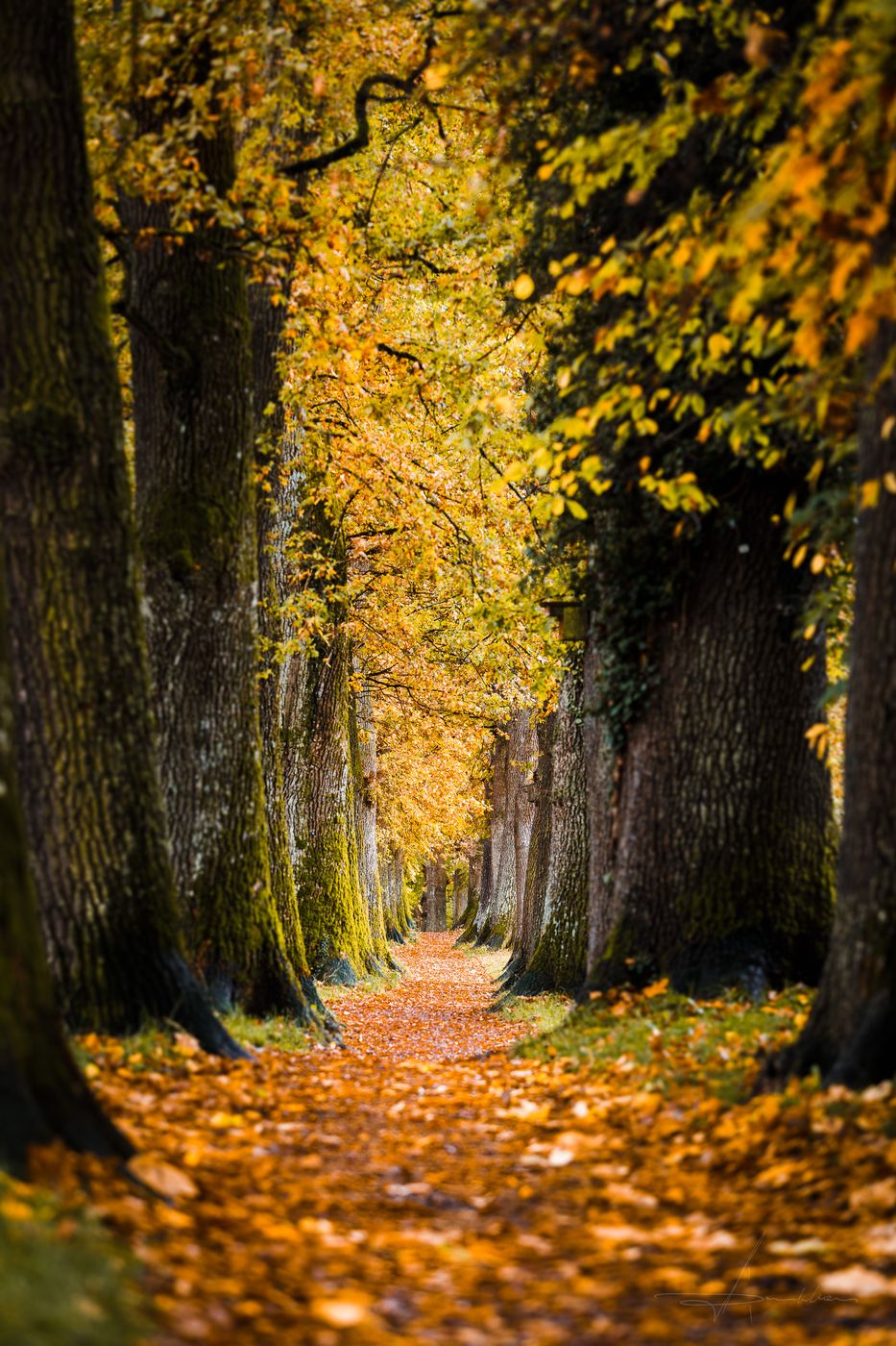 MURNAU - Kottmüllerallee, Germany