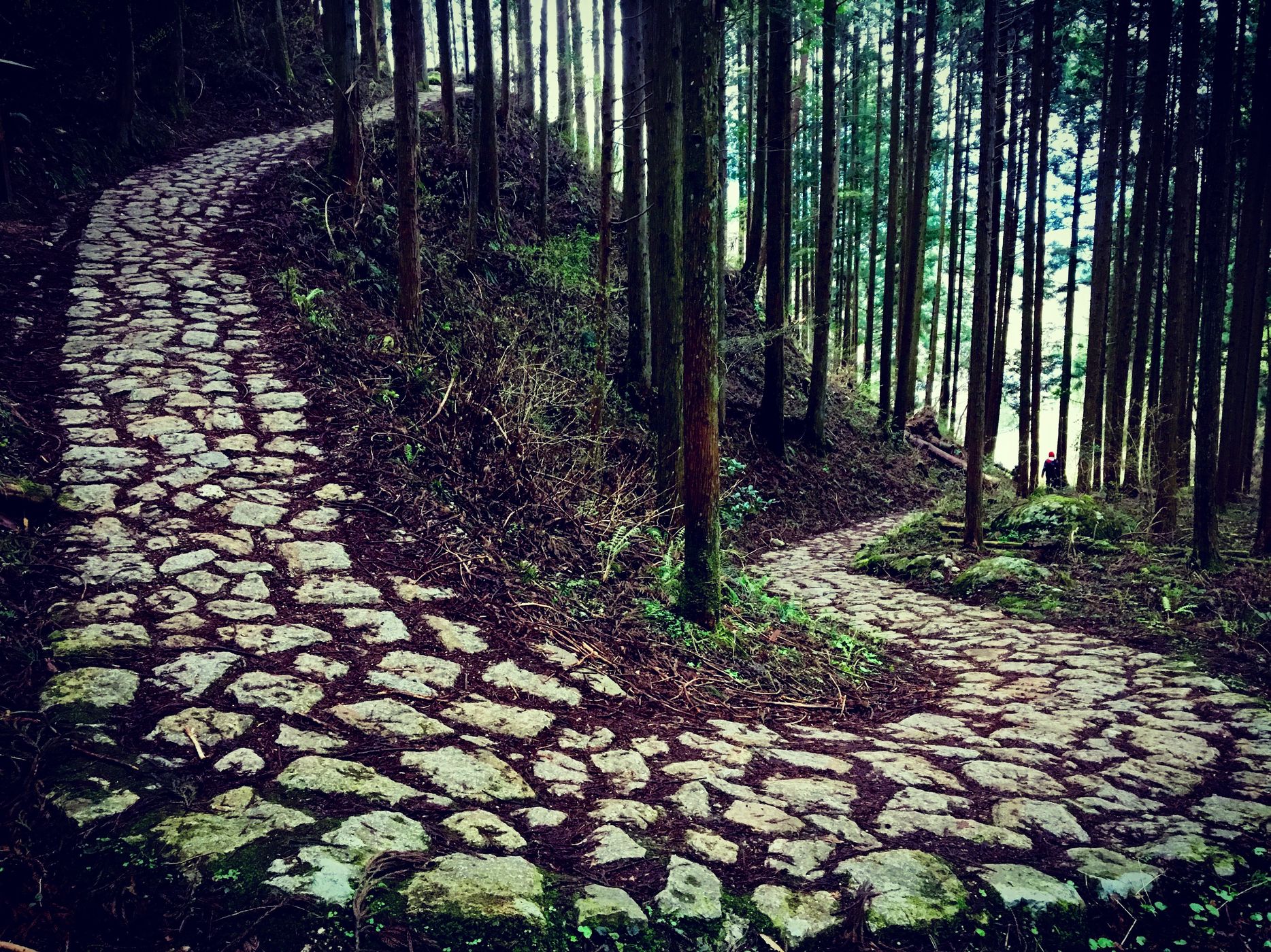Nakasendo Way U-Bend, Japan