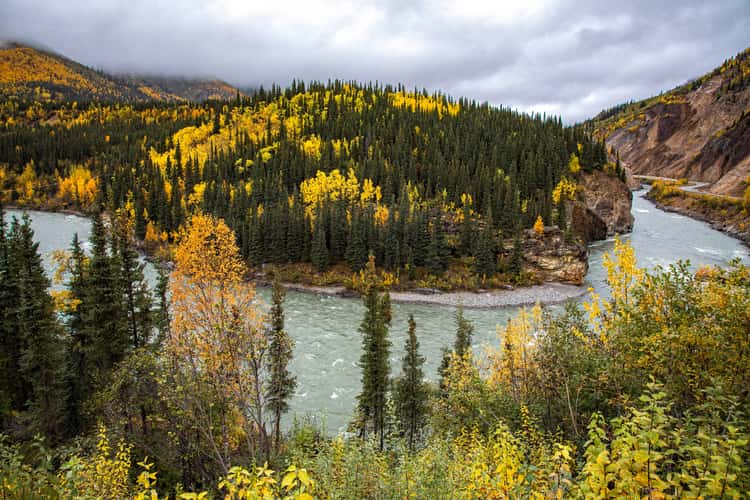 Nenana River