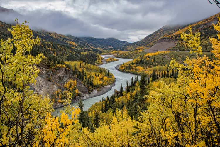 Nenana River
