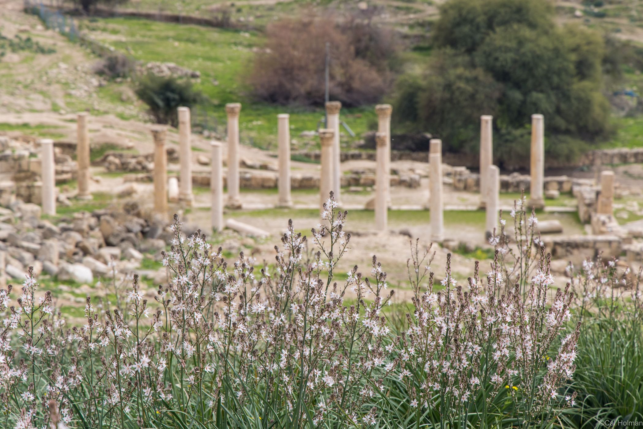 Pella, Jordan