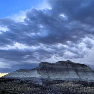 petrified forest, USA