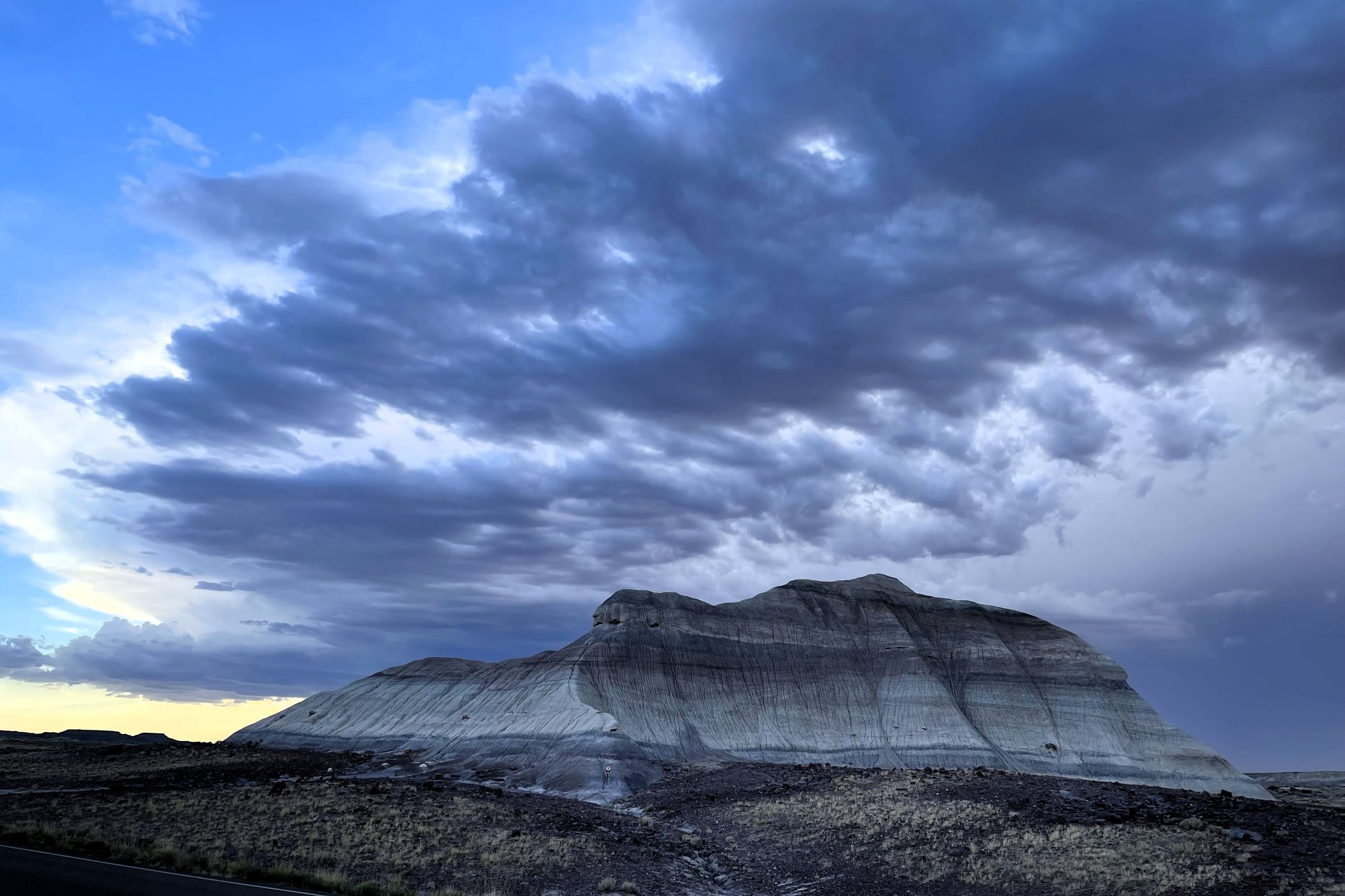 petrified forest, USA