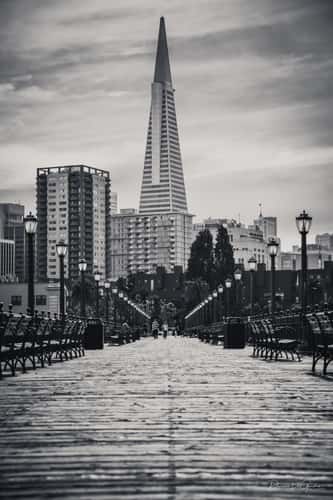 Pier 7 @ San fransisco