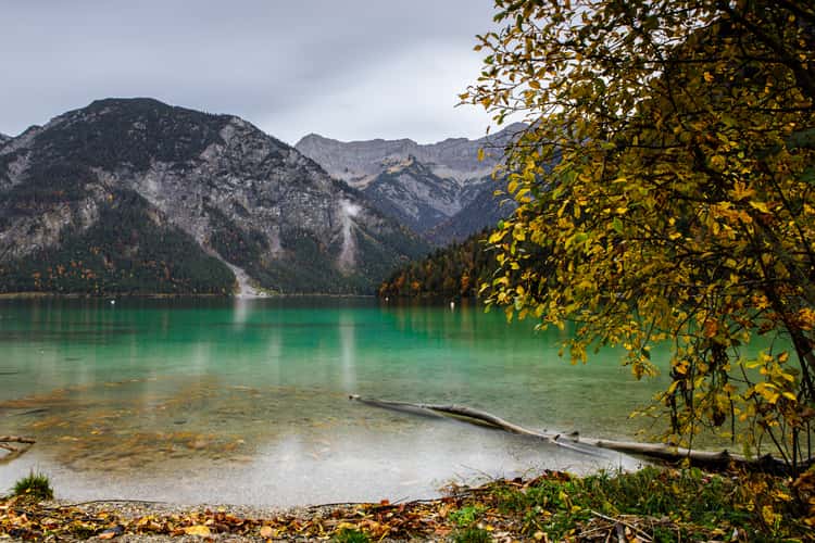 Plansee
