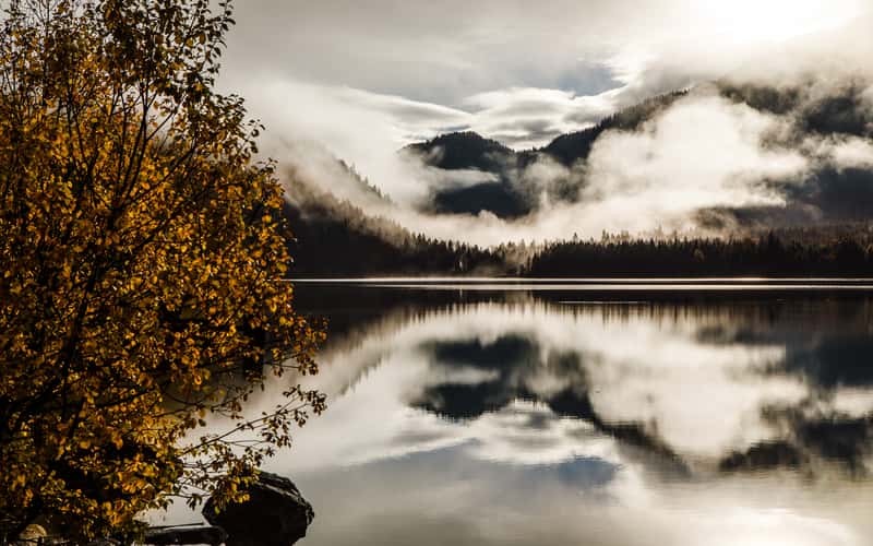 Plansee
