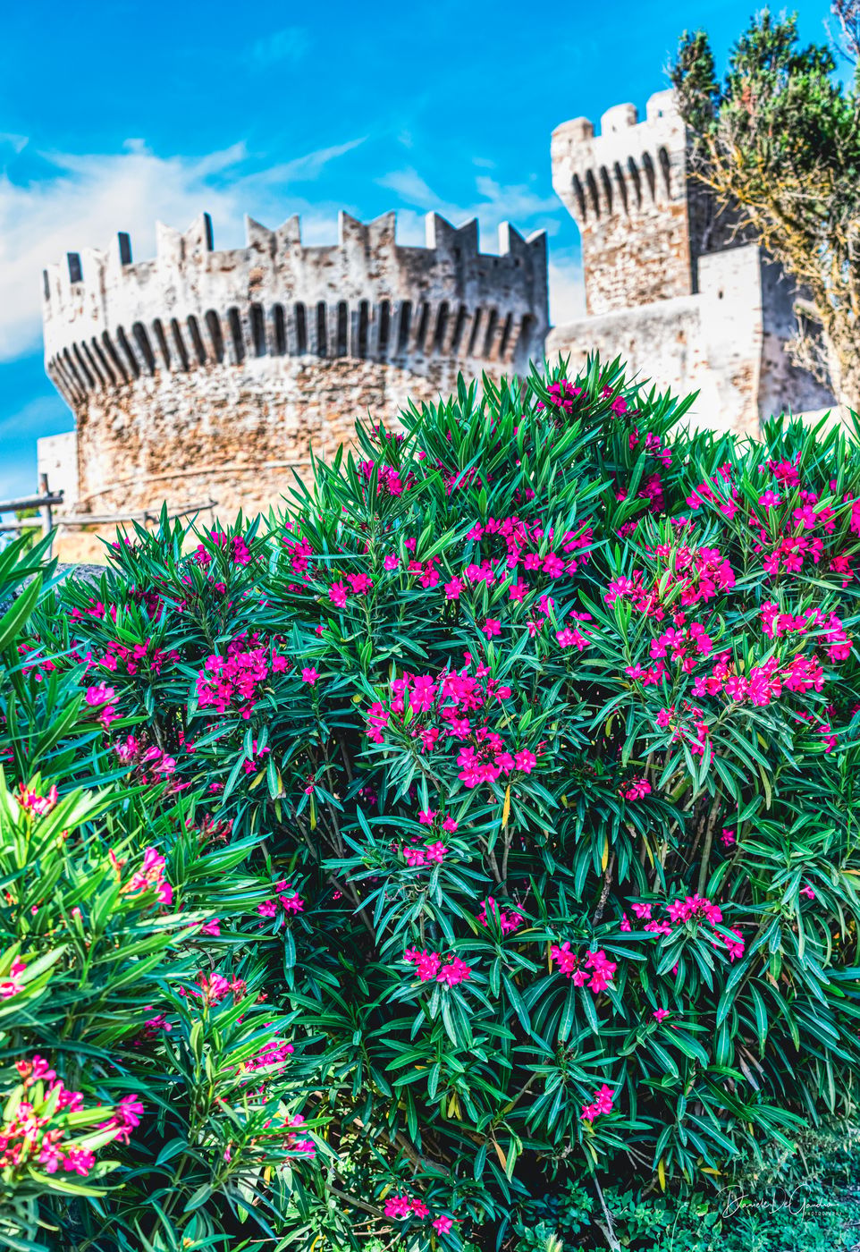 Populonia, Italy