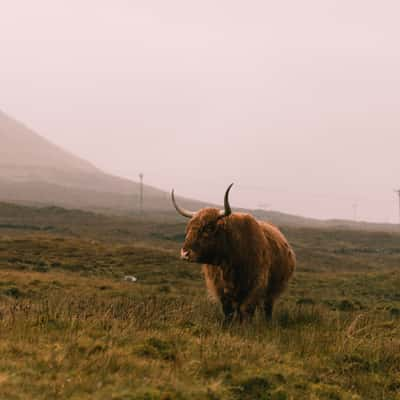 Portree, United Kingdom