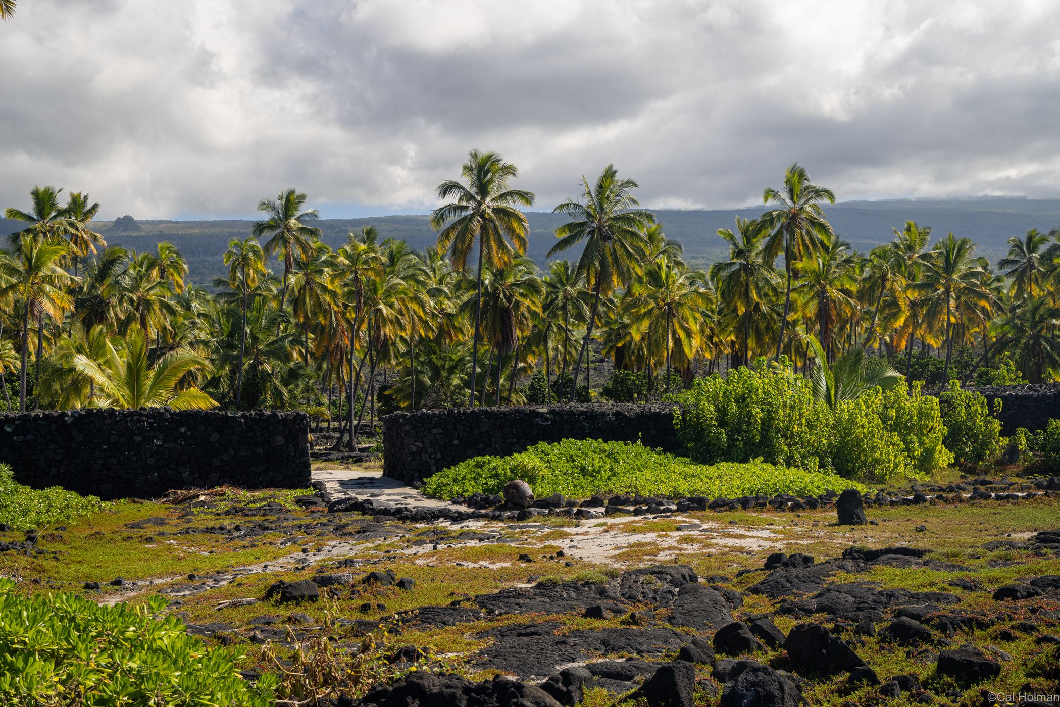 Pu’uhonua O Hōnauanau National Park, USA