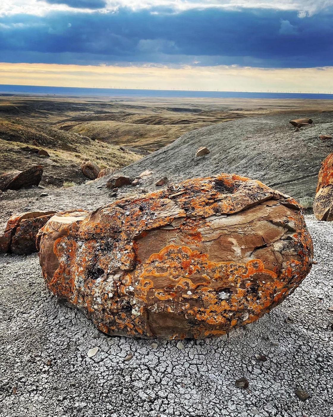 Red Rock Coulee, Canada