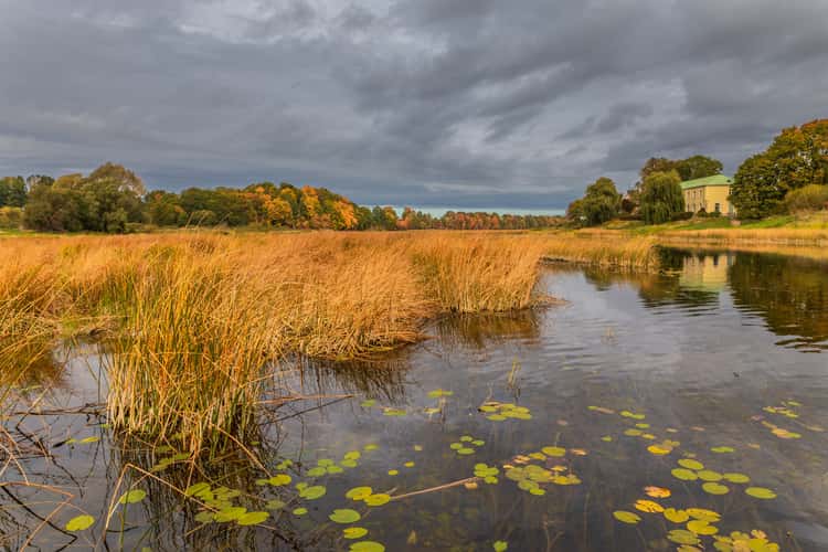 River Lielupe near Mezotne, Latvia