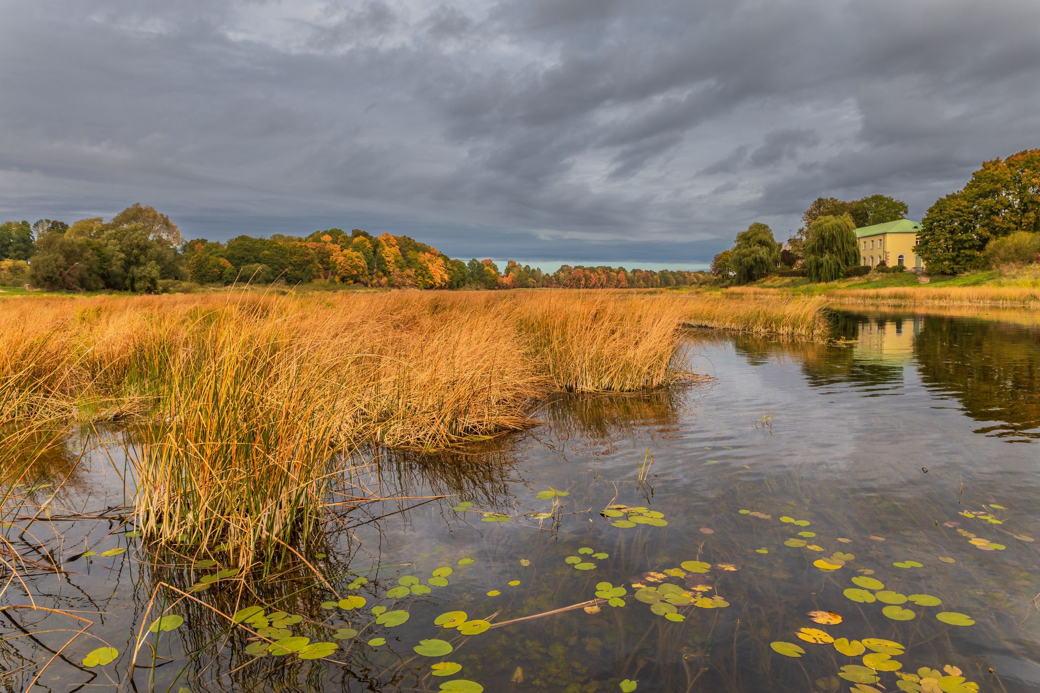 River Lielupe near Mezotne, Latvia, Latvia