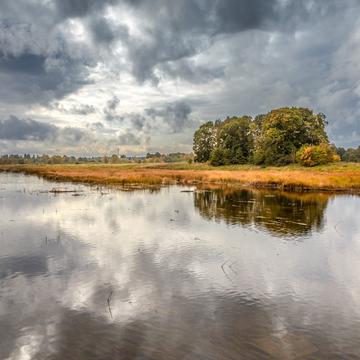 River Lielupe near Mezotne, Latvia, Latvia