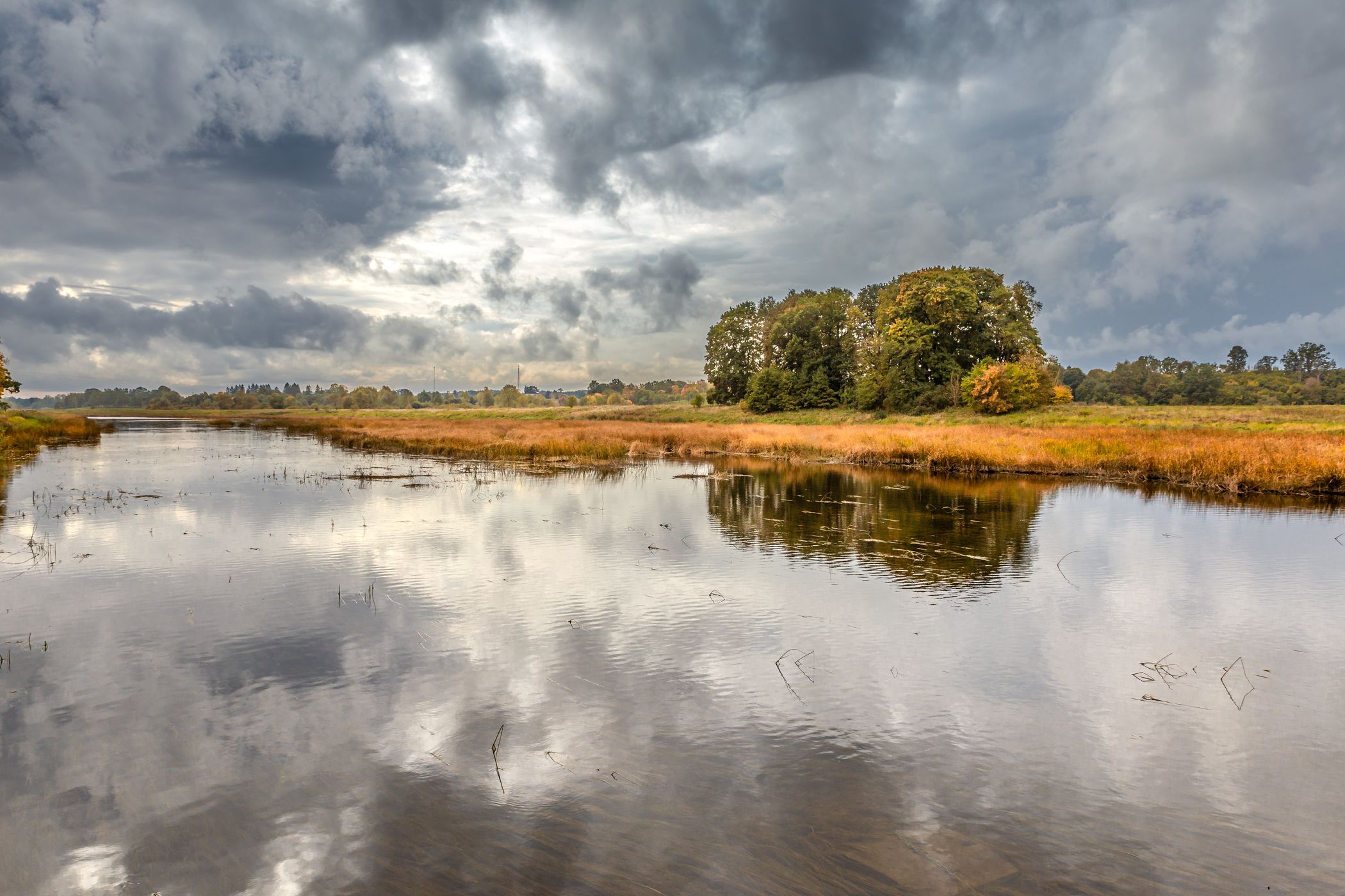 River Lielupe near Mezotne, Latvia, Latvia