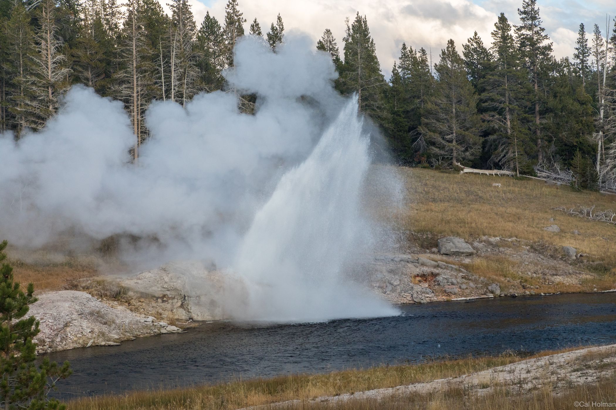 Riverside Geyser, USA