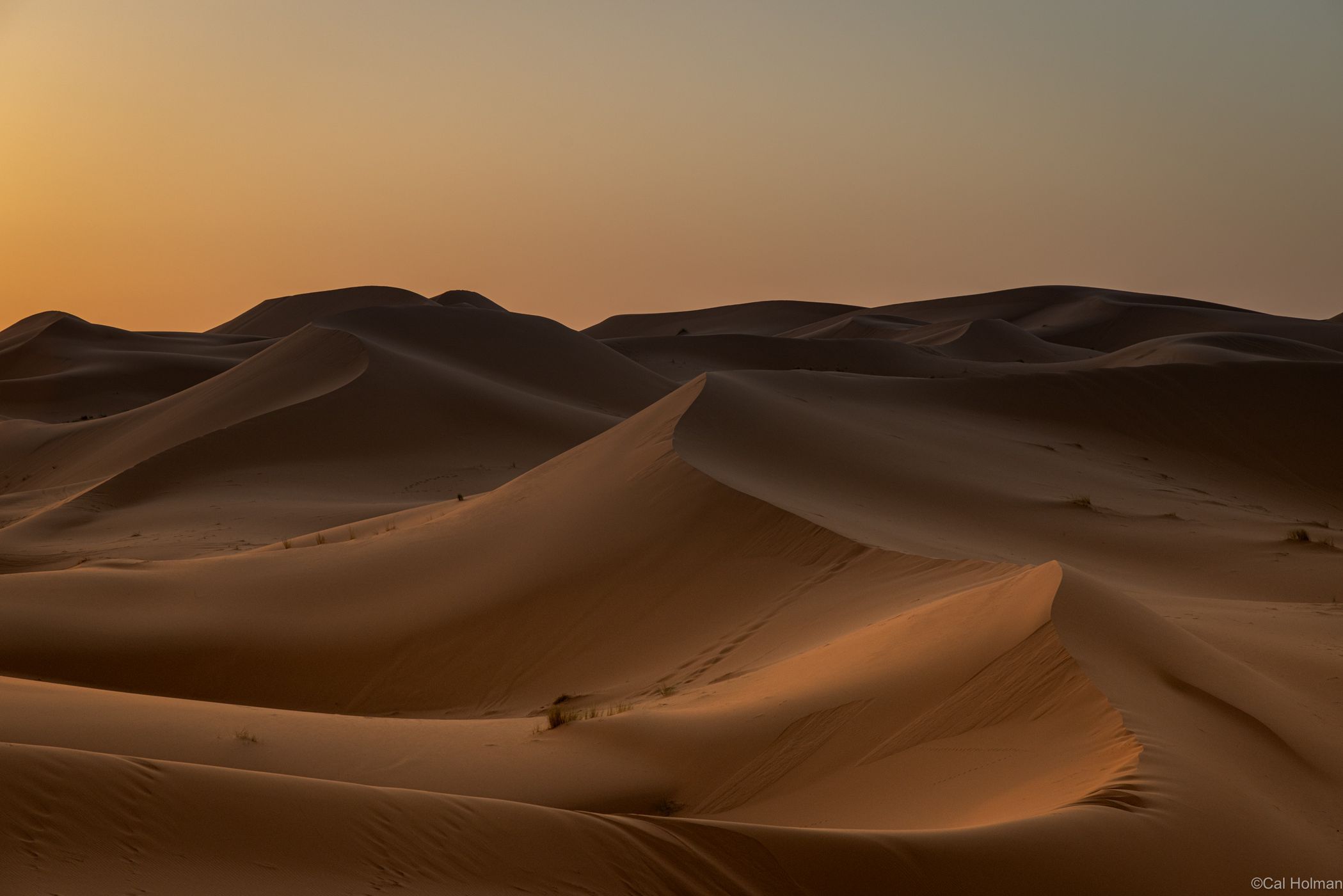 Sahara, Morocco