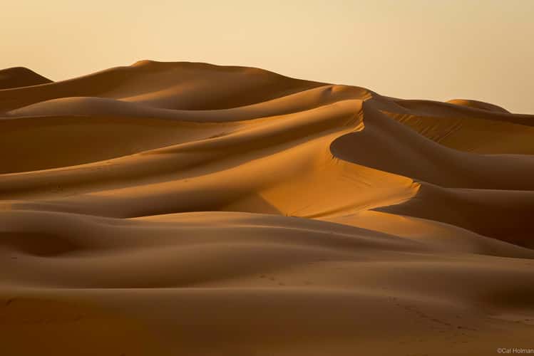 Sahara