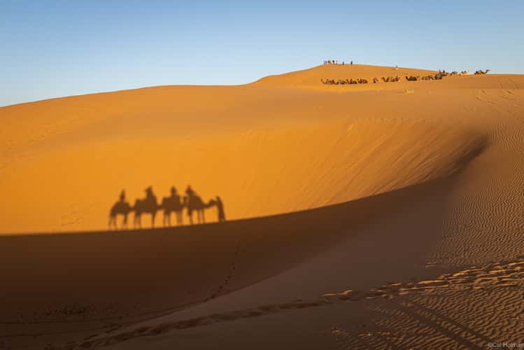 Sahara