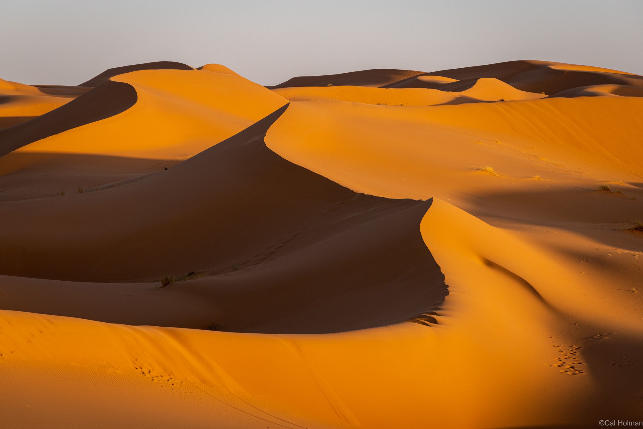 Sahara, Morocco