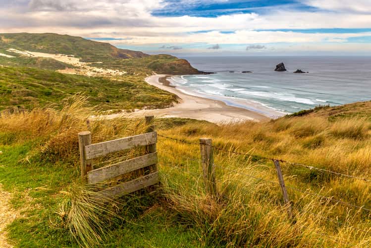 Sandfly Bay Lookout