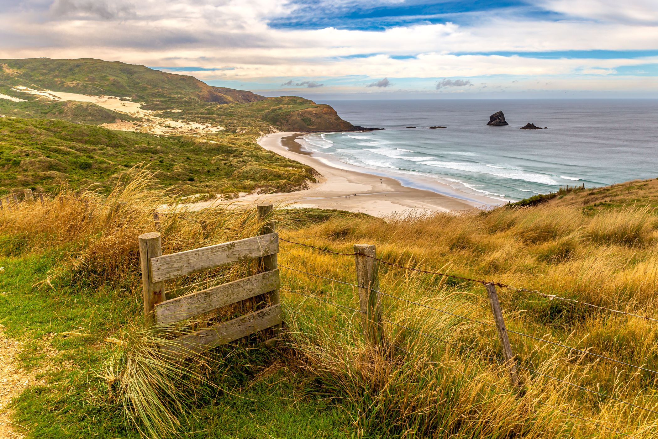 Sandfly Bay Lookout, New Zealand