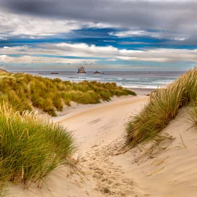 Sandfly Beach, New Zealand