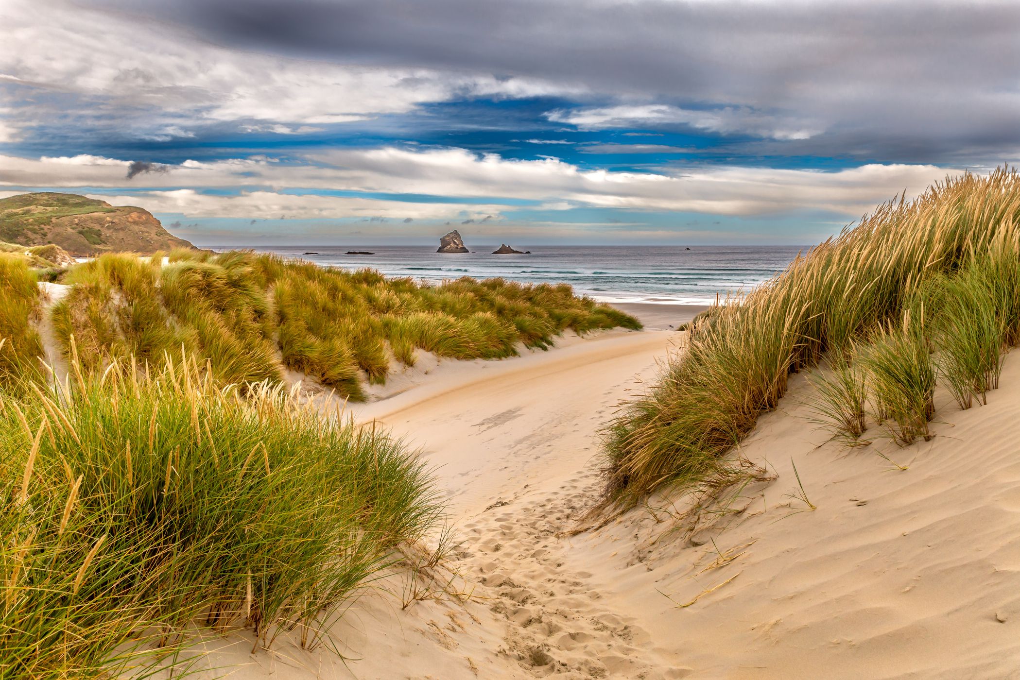 Sandfly Beach, New Zealand